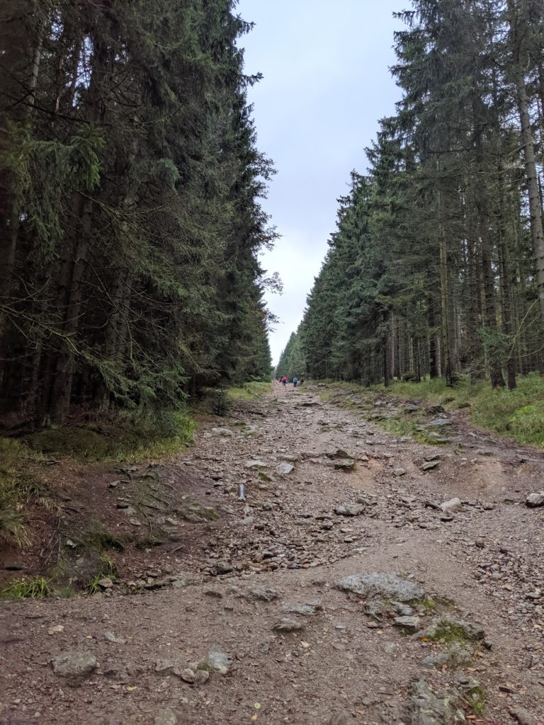 Turistická cesta ze Špičáku na Černé jezero